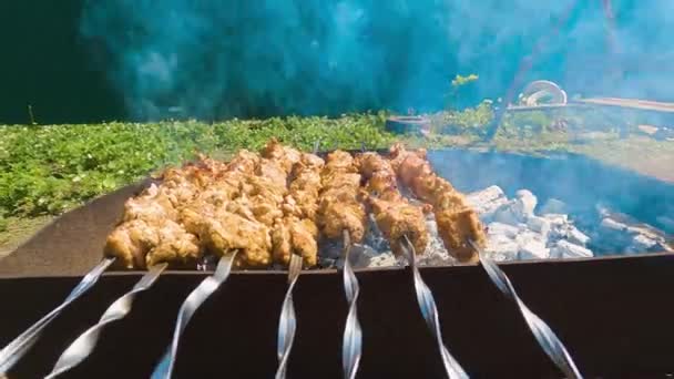 Cucina Tradizionale Ucraina Shish Kebab Sulla Griglia — Video Stock