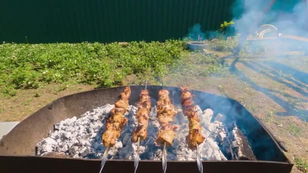 Готовить Традиционный Украинский Шашлык Гриле Zoom — стоковое видео