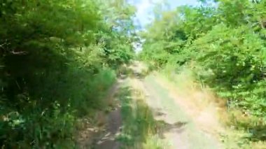 Bir adam ormanda bisiklet sürüyor.