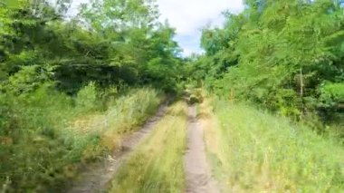 Bir adam ormanda bisiklet sürüyor.