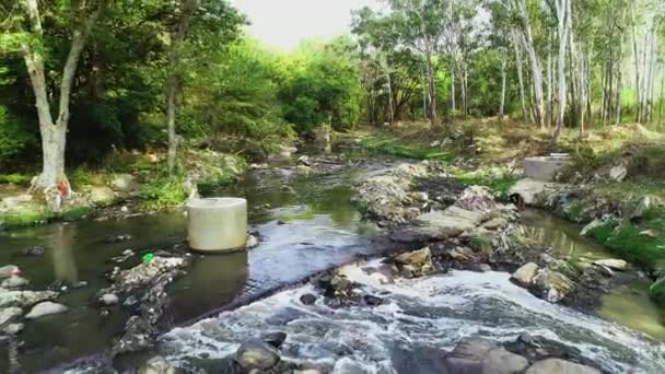 Afluente Contaminado Cheio Lixo Floresta — Vídeo de Stock