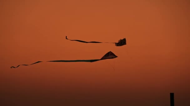 日落时分两只风筝的轮廓 — 图库视频影像