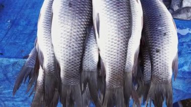 Satılık mavi bir tenteye yerleştirilmiş taze çiğ balık paketi.