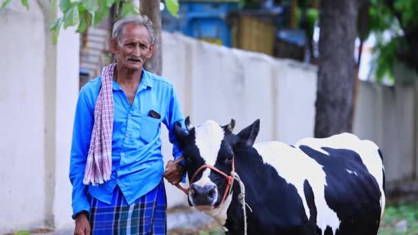 印度曼迪亚 2022年4月23日 在印度卡纳塔克邦 一名农民在牵着奶牛的同时 还介绍了奶牛养殖的情况 — 图库视频影像