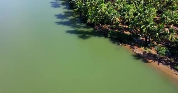 Una Vista Aérea Amplia Las Palmeras Coco Los Lados Orilla — Vídeo de stock