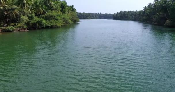 Une Large Vue Aérienne Des Cocotiers Sur Les Rives Rivière — Video