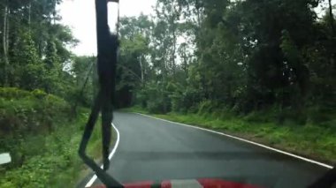 Yağmur mevsiminde yeşil büyük ağaçların arasında orman yolu arasında uzun bir yolculuk.