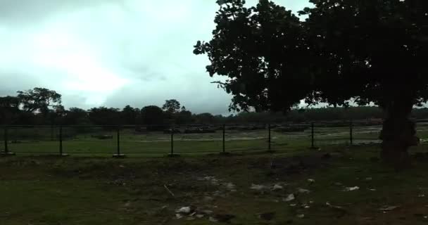 View Large Timber Yard While Driving Rainy Season — Stock Video