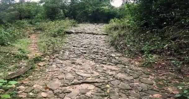 Berjalan Melalui Hutan Jejak Atas Tanah Jalan Batu Bukit Kecil — Stok Video