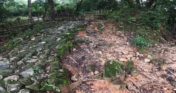 Yağmurlu Bir Günde Karanlık Ormanın Geçidine Doğru Taş Yolda Yürüyüş — Stok video