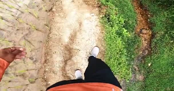 晴れた日に水田の中の小さな泥だらけの道を歩く靴を履いている人の足の視点 — ストック動画