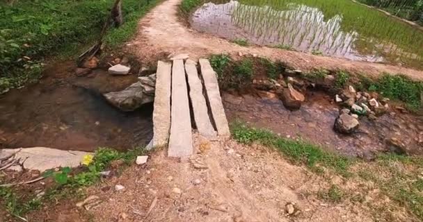 水田の小さな運河に置かれた長い石の上を歩く人の足の視点 — ストック動画
