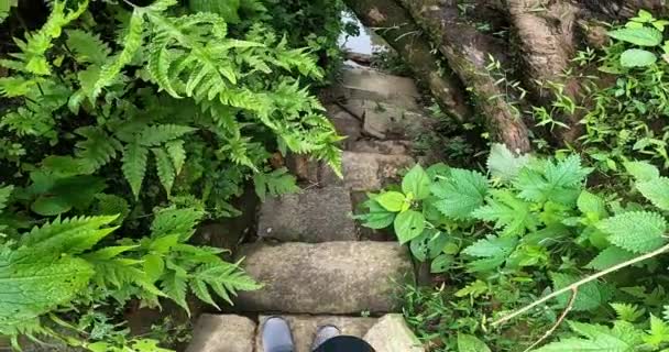 寺の池に向かって滑りやすい階段を歩いている人の視点 — ストック動画