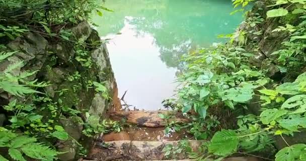 雨の日は石垣の中の階段を下りながら小さな池の景色 — ストック動画
