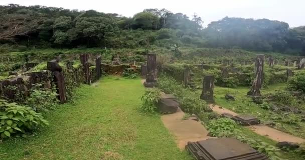 Una Vista Las Ruinas Palacio Fuerte Medio Del Bosque Verde — Vídeos de Stock