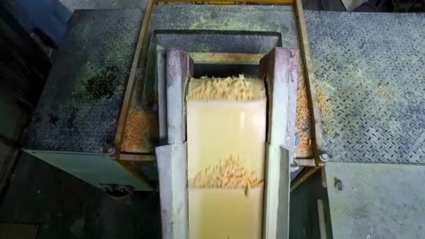 Sabun Konveyör Ekipmanı Üretimi Bir Sabun Fabrikasında Taşıyıcı Bant Kesik — Stok video
