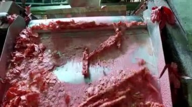 Bir sabun fabrikasında / taşıyıcı bantta sabun / taşıyıcı ekipman üretimi / işlenmemiş sabun karışımını öğüten mekanizmaya yakın çekim