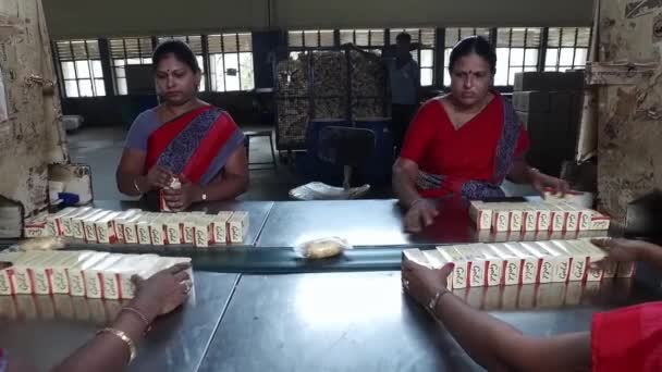 Bangalore Indien April 2016 Upptagna Kvinnliga Arbetare Sorterar Och Förpackar — Stockvideo