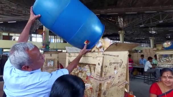 Бангалор Индия Апреля 2016 Старик Заполняет Напечатанные Пустые Мыльные Коробки — стоковое видео