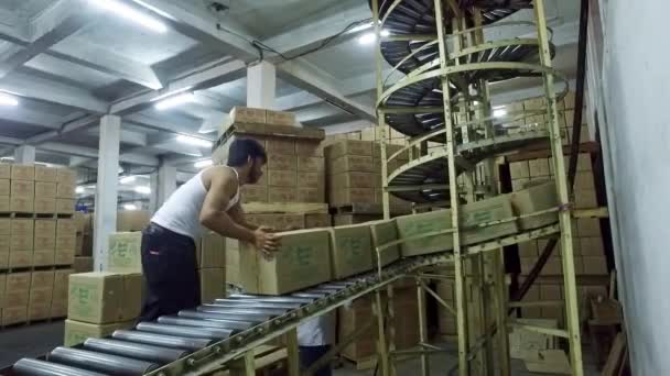 Bangalore India April 2016 Worker Lifting Arranging Soap Boxes Warehouse — Stock Video