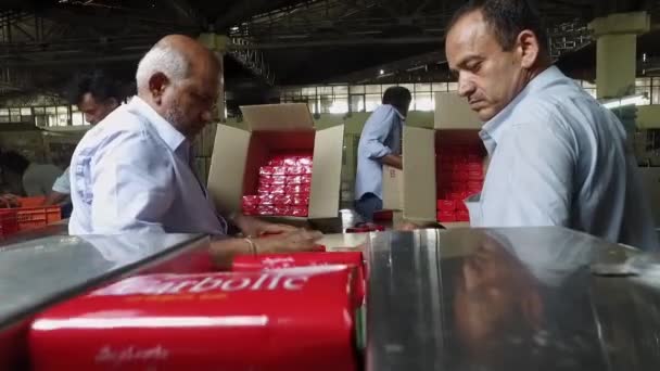 Bangalore India April 2016 Werknemers Sorteren Verpakken Klare Zeepjes Kartonnen — Stockvideo