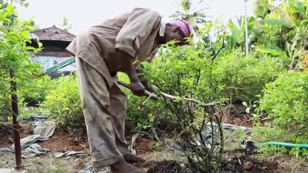 Mysore India December 2017 Close View Small Farmer Loosen Hard — Stockvideo