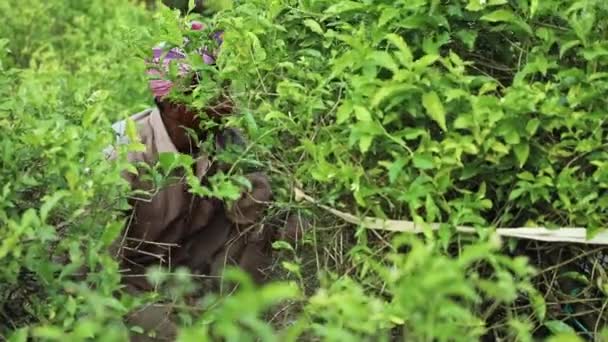 2017年12月22日インド マイソール インドの小規模農家がジャスミンの花畑から雑草を除去し 一人で作業し 雑草を除去し 農地を耕す — ストック動画
