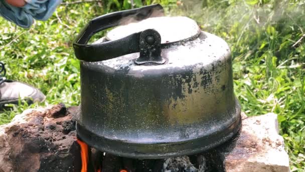 Кипятить Воду Железном Чайнике Огне Варить Целебные Горные Травы — стоковое видео