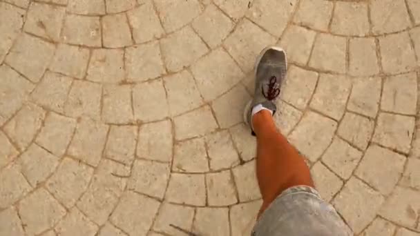 Чоловік Ходить Уздовж Тротуару Сірих Кросівках Насолоджується Життям — стокове відео