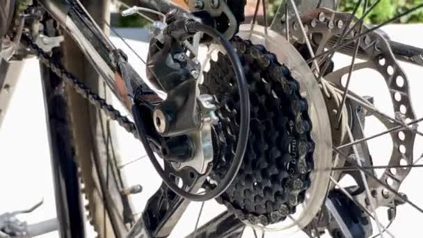 Guy Repairs Bike Summer Hot Weather Bicycle Chain Wheel Spokes — Stock Video