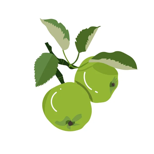 Zelené Jablko Větev Plochý Design Výtvarný Design Stock Vektorové Ilustrace — Stockový vektor