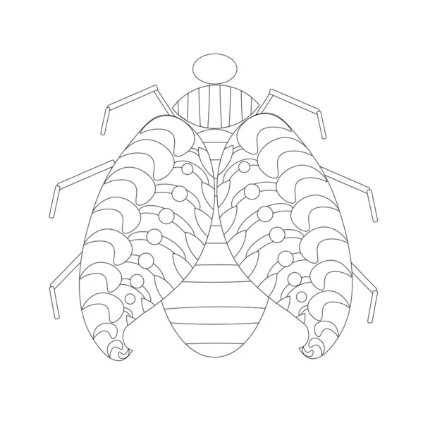 Bug Doodle Prydnad Monokrom För Webben För Utskrift För Färgning — Stock vektor