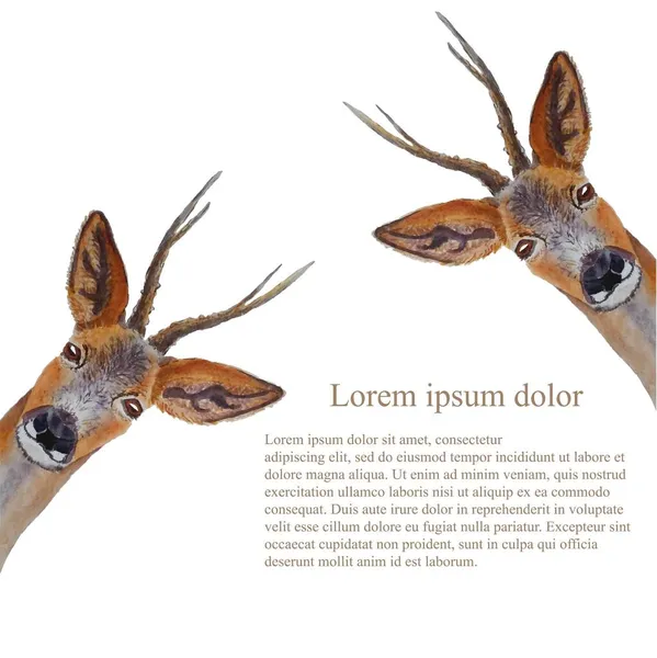 Deer Lorem Ipsum Pozadí Watercolor Les Roztomilý Živočišný Objekt Izolovaný — Stockový vektor