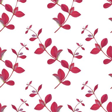 Watercolor Berberis branch seamless pattern. Botanical stock vector illustration for web, for print, for picture, for packing design, for product design