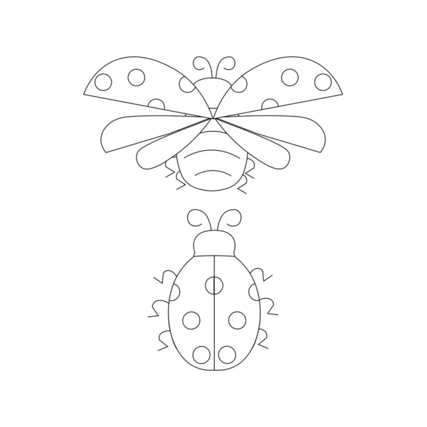 Ladybugs Monochrome Stock Vector Illustration Web Print Coloring Page — Wektor stockowy