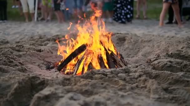 斯拉夫庆祝Ivana Kupala 。年轻人跳过篝火 — 图库视频影像