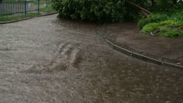 Calle de la ciudad inundada durante fuertes lluvias, fuertes lluvias. Inundación de desastres, diluvio. — Vídeo de stock