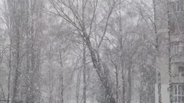 Nieve cayendo en temporada de invierno en edificios de la ciudad vieja fondo borroso — Vídeos de Stock