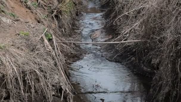 春天的溪流是阳光明媚的冬末 — 图库视频影像