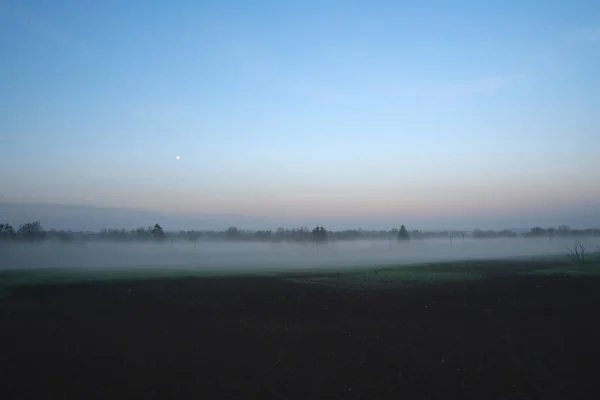 Panorama Pola Zbiorach Rano Mgłą — Zdjęcie stockowe