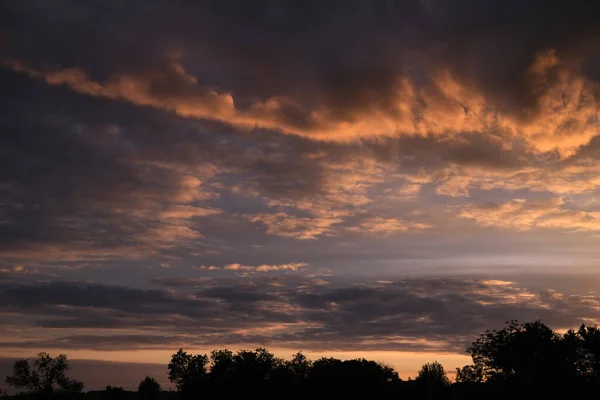 Dark Orange Storm Clouds Rain Texture Horizon Trees Silhouettes — Stock Photo, Image