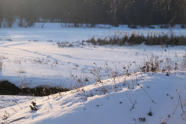 Заснеженном Зимнем Ландшафте Загорают Замерзшие Лучи Зимнего Солнца Длинными Тенями — стоковое фото