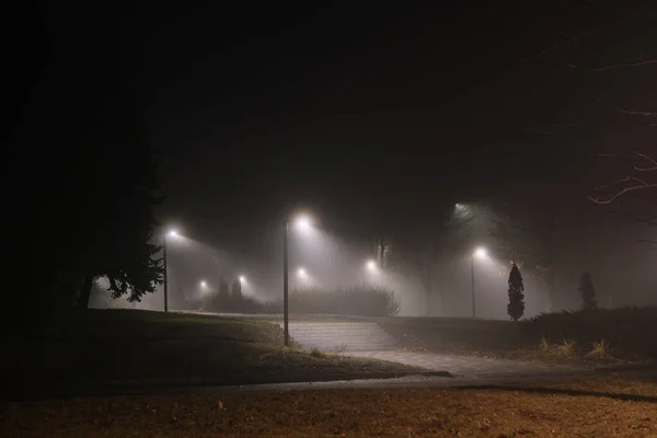 Straßenlaternen Neblig Neblig Nacht Laterne Post Laternen Menschenleere Straße — Stockfoto