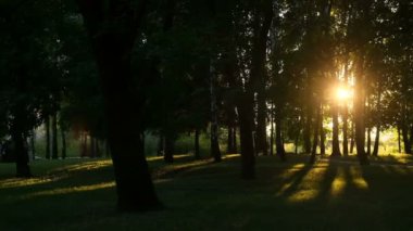 Güzel Günbatımı Güneşli Yaz Akşamı Güneş Işıkları