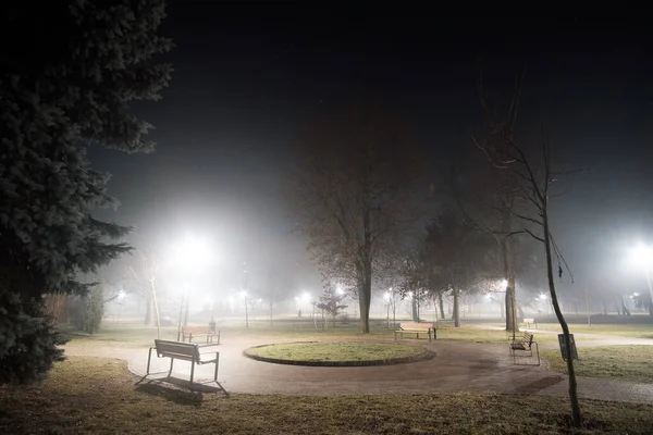 Туманная Аллея Парка Скамейками Ночью — стоковое фото