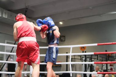 Zhytomyr, Ukrayna - 21 Ocak 2022: Ringde dövüşen iki profesyonel boksör.