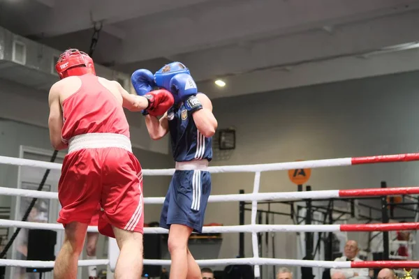Zhytomyr, Ukrayna - 21 Ocak 2022: Ringde dövüşen iki profesyonel boksör.