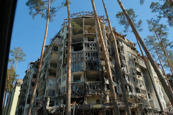 Rus ordusu tarafından yok edilen sivillerin evleri. Ukrayna 'ya karşı savaş. Çam ormanı geçmişi