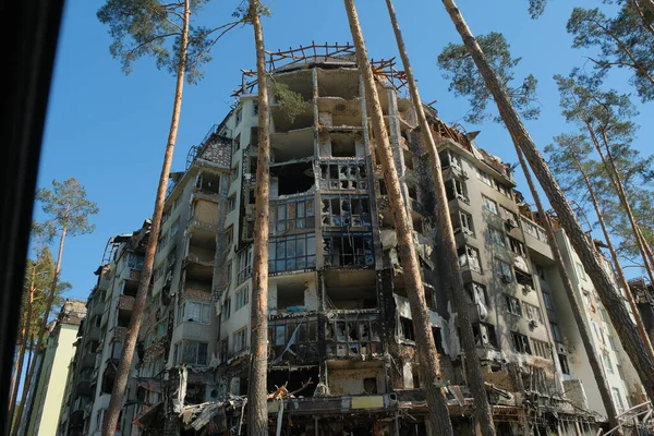 被俄罗斯军队摧毁的平民房屋 对乌克兰的战争概念 松树的森林背景 免版税图库图片