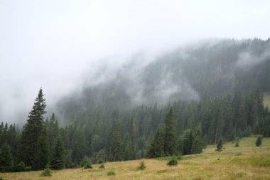 Karpat Dağları'nda güzel manzara panoramik
